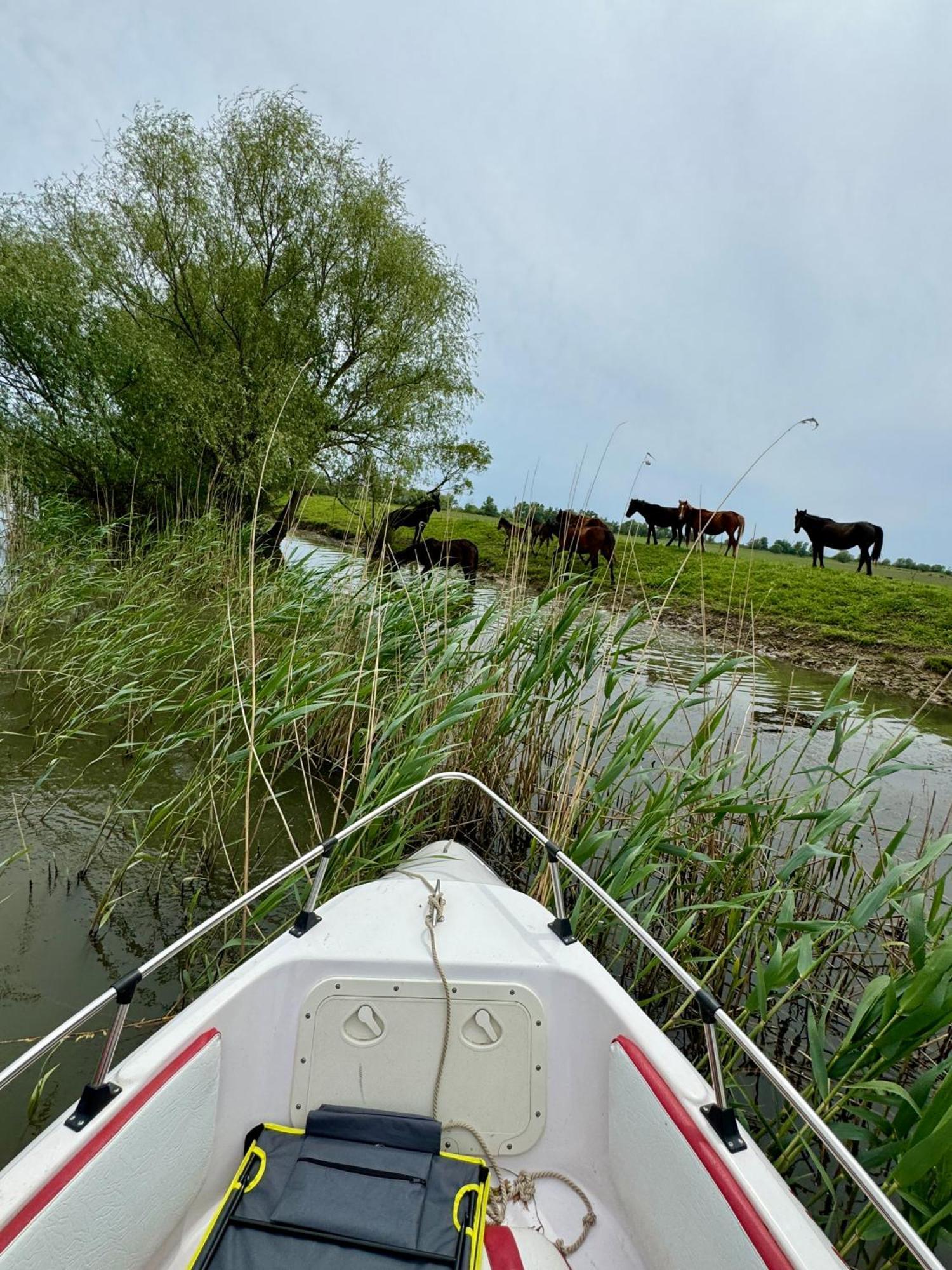 Danube Delta View Ξενοδοχείο Dunavăţu de Jos Εξωτερικό φωτογραφία