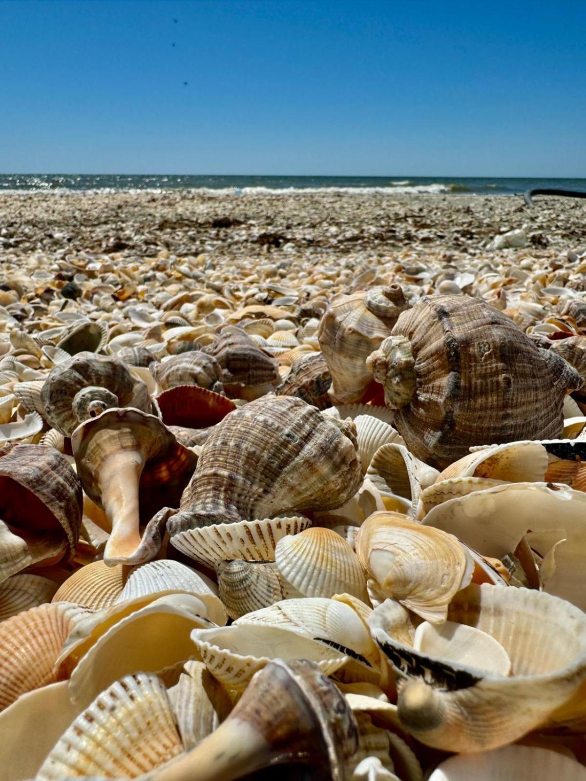 Danube Delta View Ξενοδοχείο Dunavăţu de Jos Εξωτερικό φωτογραφία